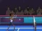 遊戲Badminton Brawl在線