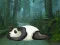 遊戲Wakeup The Sleeping Panda在線