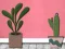 遊戲Find Houseplant在線