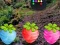 遊戲Escape From Fascinated Jungle在線