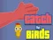 遊戲Catch the Birds在線
