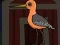 遊戲Cute Godwit Escape在線