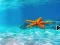 遊戲Escape From Underwater Starfish在線