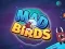 遊戲Mad Birds在線