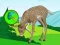 遊戲The Deer Meadow Escape在線