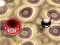 遊戲Bouncing Blob在線