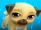 遊戲My Virtual Pet Louie the Pug在線