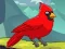 遊戲Rescue The Northern Cardinal在線