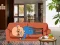 遊戲Wakeup The Grandpa在線