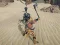 遊戲The Scythian Warrior在線