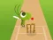 遊戲Doodle Cricket在線