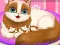 遊戲Cute Kitty Pregnant在線