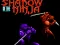 遊戲Shadow of the Ninja在線