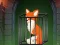 遊戲Fox in the Forgotten Ruins在線