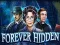 遊戲Forever Hidden在線