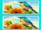 遊戲Spot the Difference The Garden在線