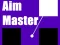 遊戲Aim Master在線