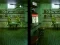 遊戲Robot Bar Spot the differences在線