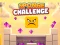 遊戲Sponge Challenge在線