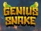 遊戲Genius Snake在線