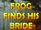 遊戲Frog Finds His Bride在線