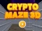 遊戲Crypto Maze 3D在線