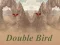 遊戲Double Bird在線