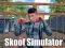 遊戲Skoof Simulator在線