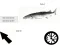 遊戲Fish Clicker在線