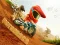 遊戲Motocross在線