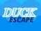 遊戲Duck Escape在線