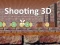 遊戲Shooting 3D在線