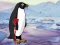 遊戲Heal the Wounded Penguin在線