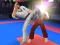 遊戲Karate Fighter在線