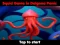 遊戲Squid Game In Dalgona Panic在線