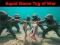 遊戲Squid Game Tug Of War在線