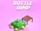 遊戲Bottle Jum在線