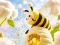 遊戲Find The Differences: Little Bee's Adventure在線