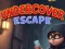 遊戲Undercover Escape在線