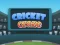 遊戲Cricket Craze在線