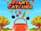 遊戲Fruit Catchere在線