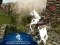 遊戲Ertugrul Gazi Horse Sim在線