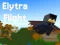 遊戲Elytra Flight在線