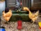 遊戲Poultry Farm Easter Escape在線