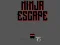 遊戲Ninja escape在線