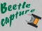 遊戲Beetle Capture在線