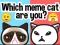 遊戲Which Meme Cat Are You?在線