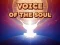 遊戲Voice Of The Soul在線