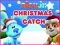 遊戲Nick Jr. Christmas Catch在線