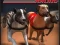 遊戲Greyhound Racing在線